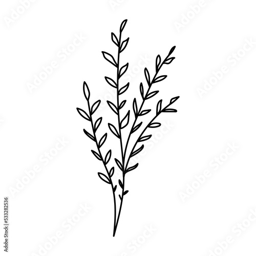 Illustration of a flower  silhouette of a twig with flowers and leaves. Vector illustration. Floral print.