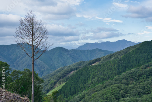 山　青い空　枯れ木