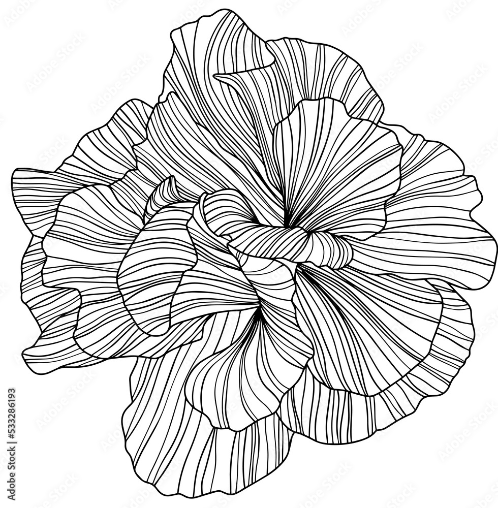 Illustration of abstract flower. Line art png