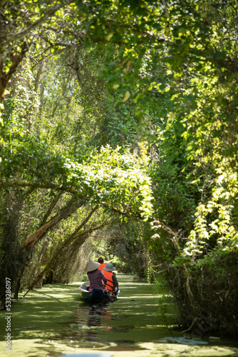 A group of tourists and local guide paddle a canoe along a beautiful canal with overhanging trees and vines in the Mekong Delta, Vietnam on a sunny day. Portrait format © Paul