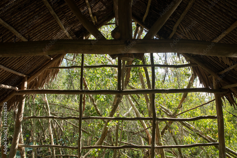 Obraz premium Interior horizontal view looking out of traditional mangrove wood shelter in Mekong delta forest, Vietnam