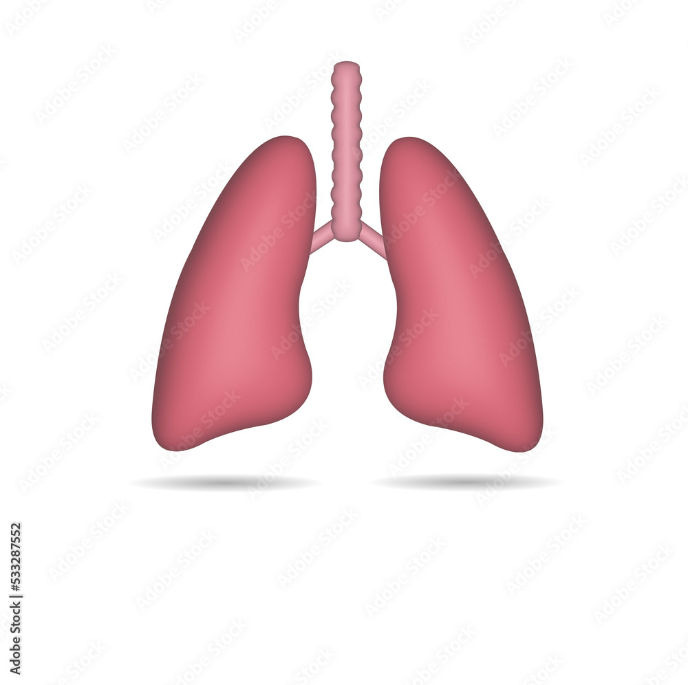 3D Realistic Lung icon isolated from white background. 3D Realistic Lung icon isolated from white background.