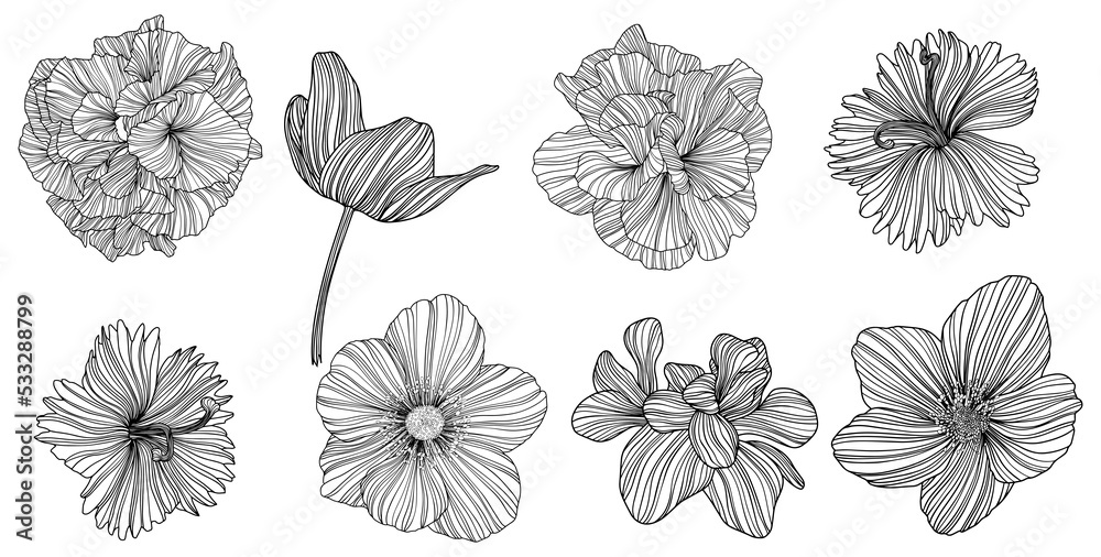 Abstract flowers isolated on white. Hand drawn line png illustration.
Abstract flowers isolated on white. Hand drawn line png illustration.