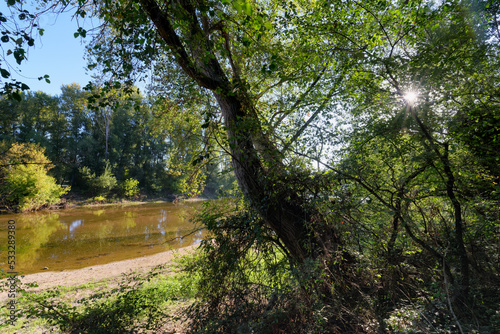 Loire river bank along the Hiking path of the island wood near Orleans city 