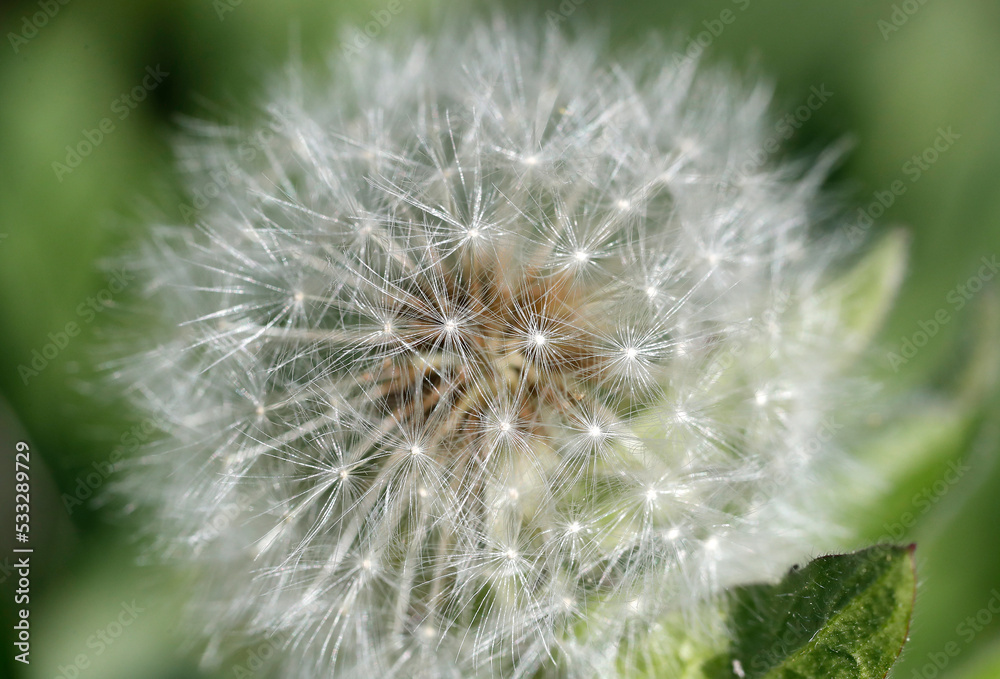 Fototapeta premium France. Daily life.