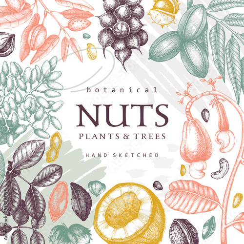Vector card banner in college style. Vintage nuts sketched frame. Healthy food background with branches, plants, nutshells hand-drawings and abstract shapes. Creative botanical illustrations