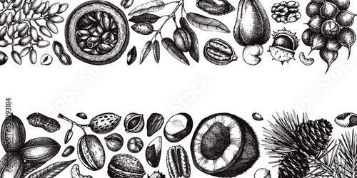 Vector nuts banner in vintage style. Vintage nuts sketched border. Healthy food background with branches, plants, fruit, nutshells hand-drawings. Realistic botanical illustrations for packaging design