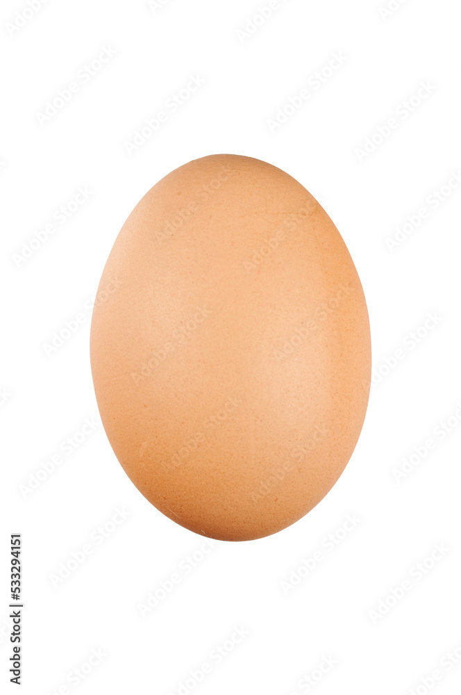 Fresh egg on transparent background Fresh egg on transparent background