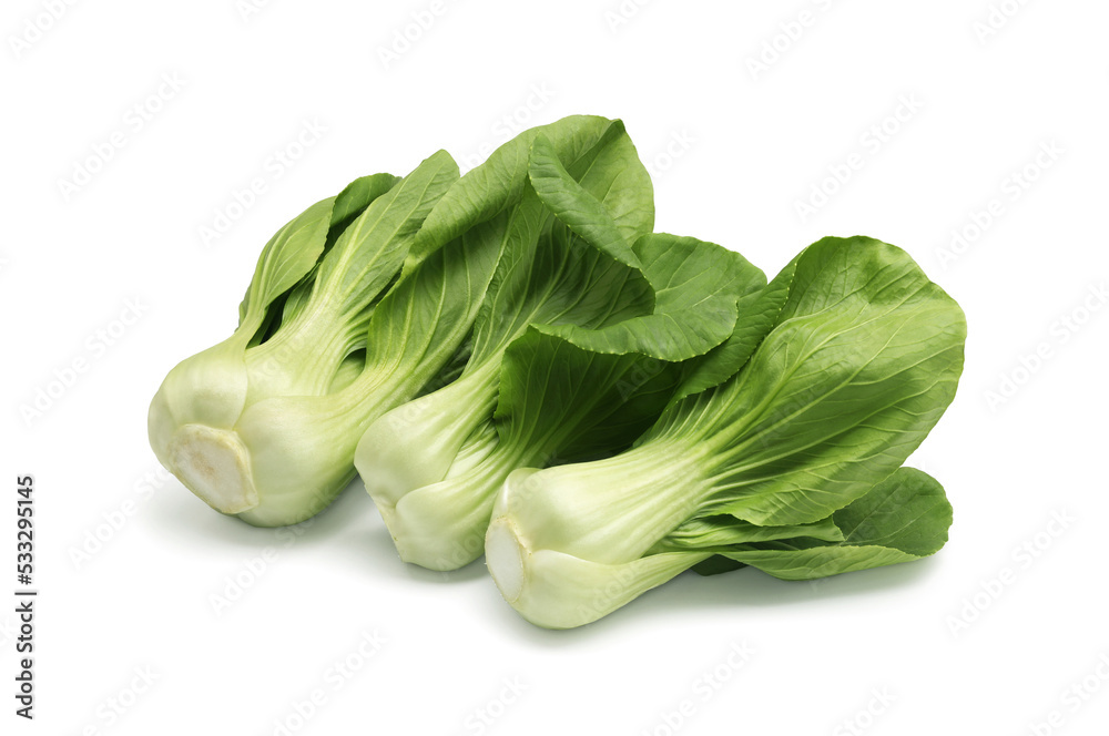 Fresh Bok choy or Chinese cabbage on white. Fresh Bok choy or Chinese cabbage on white.