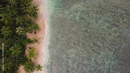 Drone aerial bird's-eye pan shot of snorkel spot with clear ocean reef sandy palm coconut trees travel tourism holiday spot Mentawai Islands Indonesia Asia Siberut Sumatra 4K photo