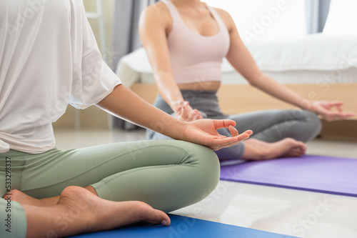 Two females sitting on mats in easy seat position while doing yoga and meditating in calm mood together at home.