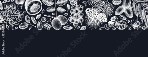 Vector nuts banner on chalkboard. Vintage nuts background in sketched style. Healthy food ingredients template with botanical illustrations. Realistic branches, plants, fruits, nutshells sketches.