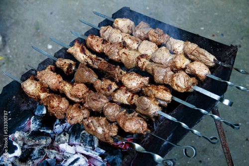 Chicken Kebab recipe on Steal coal flame during Picnic