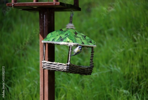 Handmade bird nest for Parrot due to passion