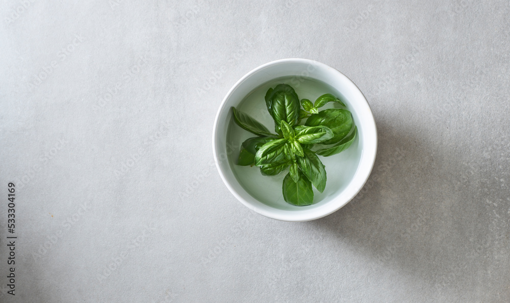Basil (Ocimum basilicum) in small bowl filled with water Basil (Ocimum basilicum) in small bowl filled with water