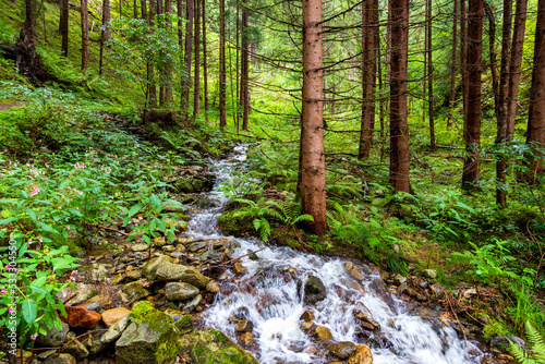 Clear forest stream flowing through Puster Valley photo