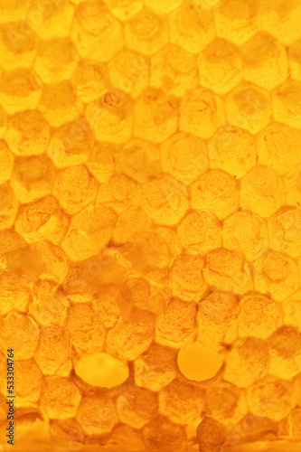 Full frame close-up of honeycomb photo