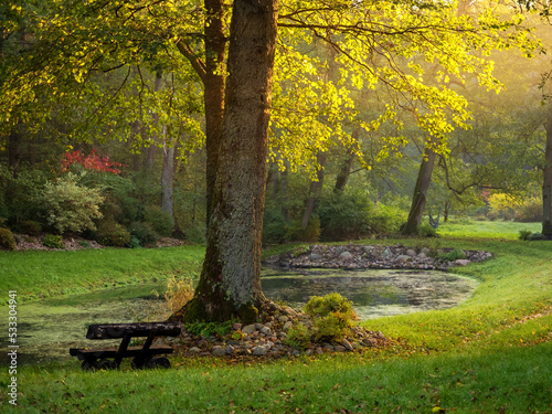 old wooden bench in a autumn garden with a pond in sunset light, autumnal mood