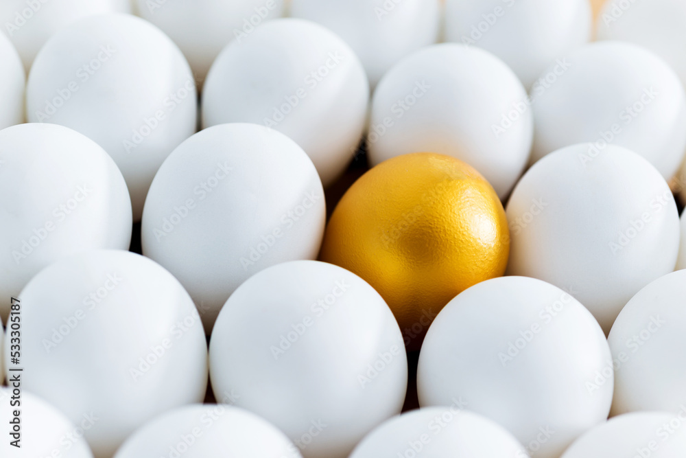 Single golden egg among white eggs Single golden egg among white eggs