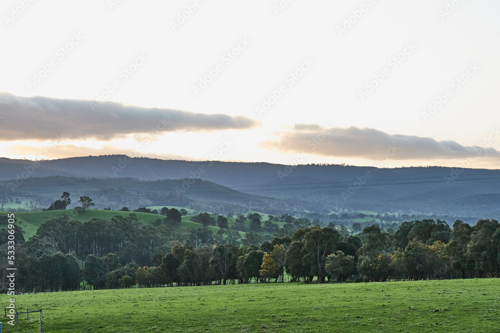 The Cathedral Range State Park located in Victoria, Australia, approximately 100 kilometres north-east of Melbourne. It is situated between the towns of Buxton and Taggerty and runs parallel to the The Cathedral Range State Park located in Victoria, Australia, approximately 100 kilometres north-east of Melbourne. It is situated between the towns of Buxton and Taggerty and runs parallel to the