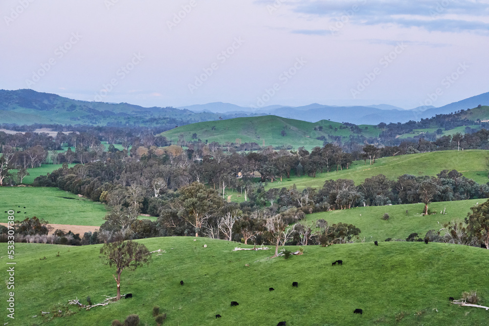The Cathedral Range State Park located in Victoria, Australia, approximately 100 kilometres north-east of Melbourne. It is situated between the towns of Buxton and Taggerty and runs parallel to the