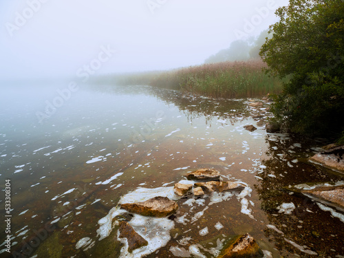 Small green tree and lake or river with red warm orange and cool blue color, fog in the background. Calm misty nature scene. Selective focus. Nobody.