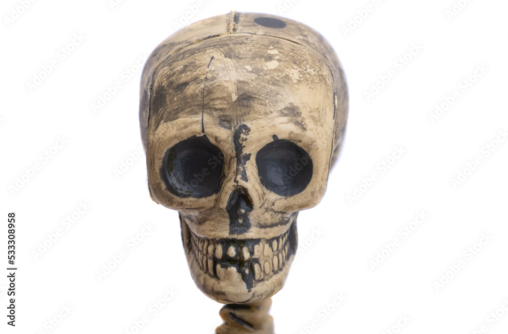 Skeleton isolated Skeleton isolated