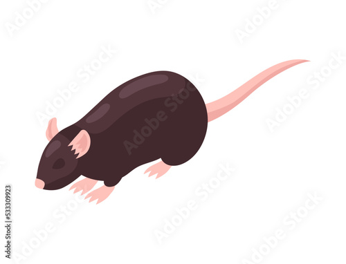 Rat Isometric Illustration