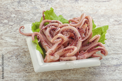 Marinated squid tentacles in the bowl