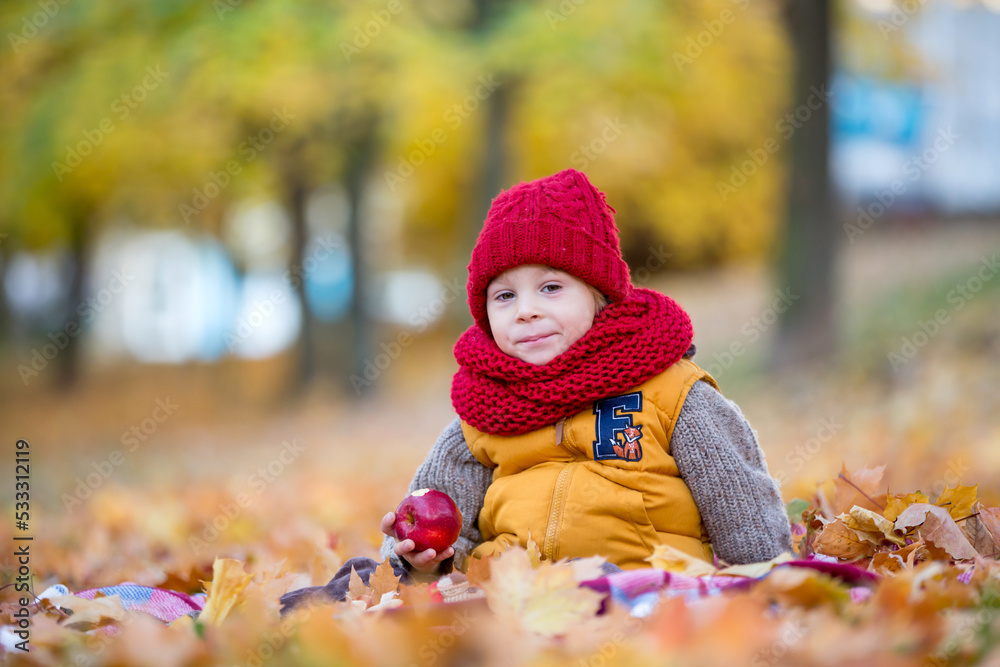 Happy child, playing with in autumn park on a sunny day, foliage and leaves all around him Happy child, playing with in autumn park on a sunny day, foliage and leaves all around him