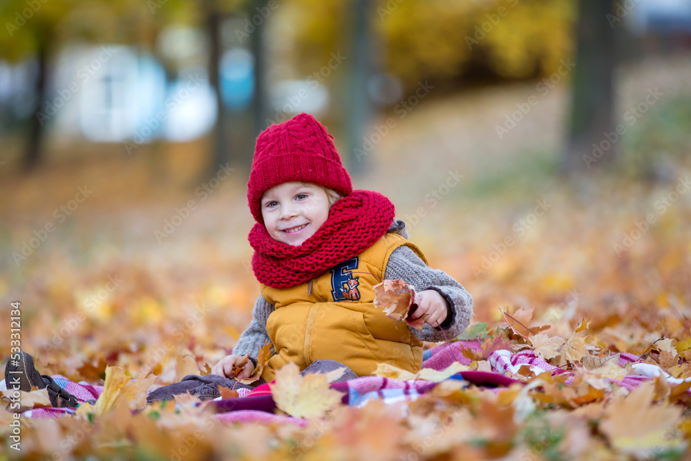 Happy child, playing with in autumn park on a sunny day, foliage and leaves all around him Happy child, playing with in autumn park on a sunny day, foliage and leaves all around him