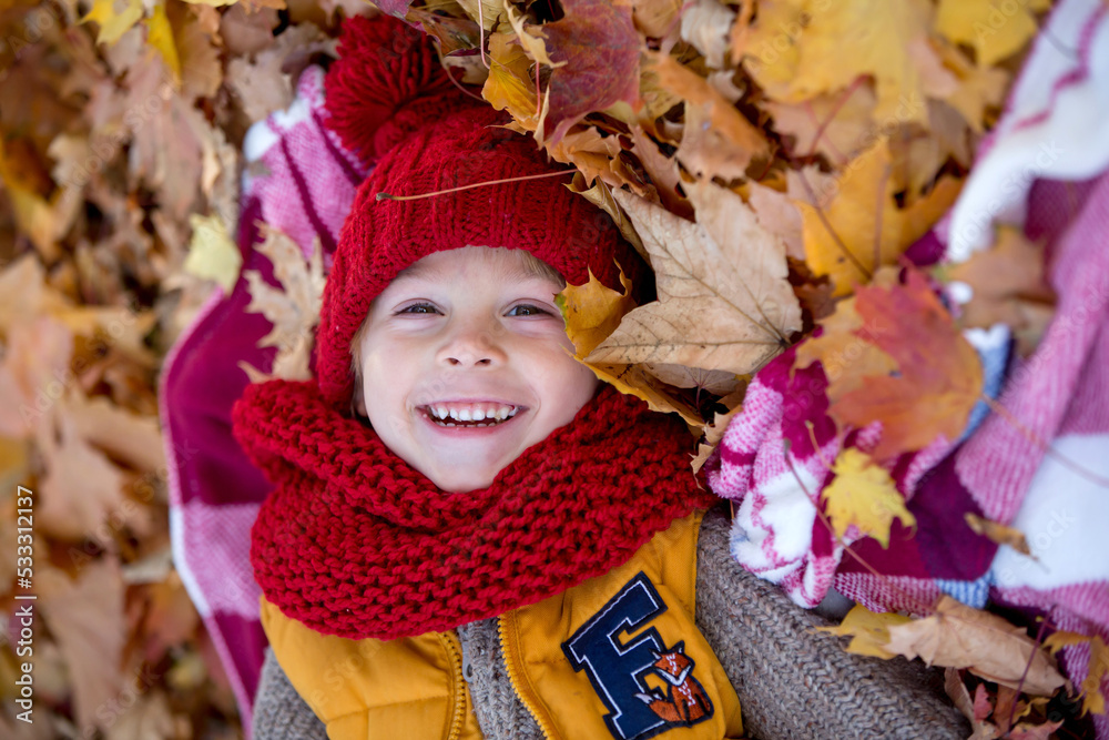Happy child, playing with in autumn park on a sunny day, foliage and leaves all around him Happy child, playing with in autumn park on a sunny day, foliage and leaves all around him