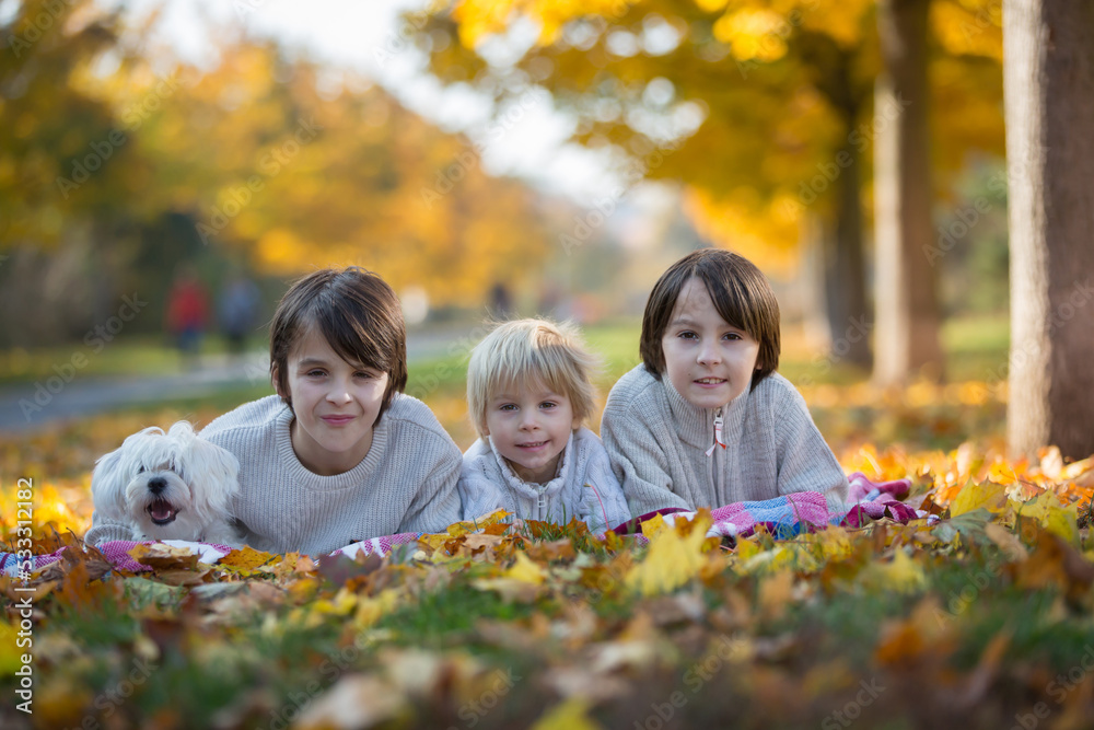 Happy children, playing with pet dog in autumn park on a sunny day Happy children, playing with pet dog in autumn park on a sunny day