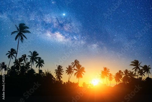 Fototapeta Naklejka Na Ścianę i Meble -  Summer evening starry sky background sunset over coconut trees silhouettes