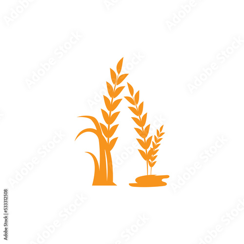 Agriculture wheat Grain vector icon design