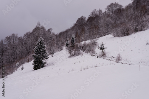 Winter landscape. Mountain slope covered with snow.
