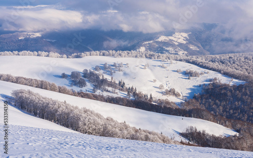 Snow-covered trees on a mountain range. Winter mountain landscape.