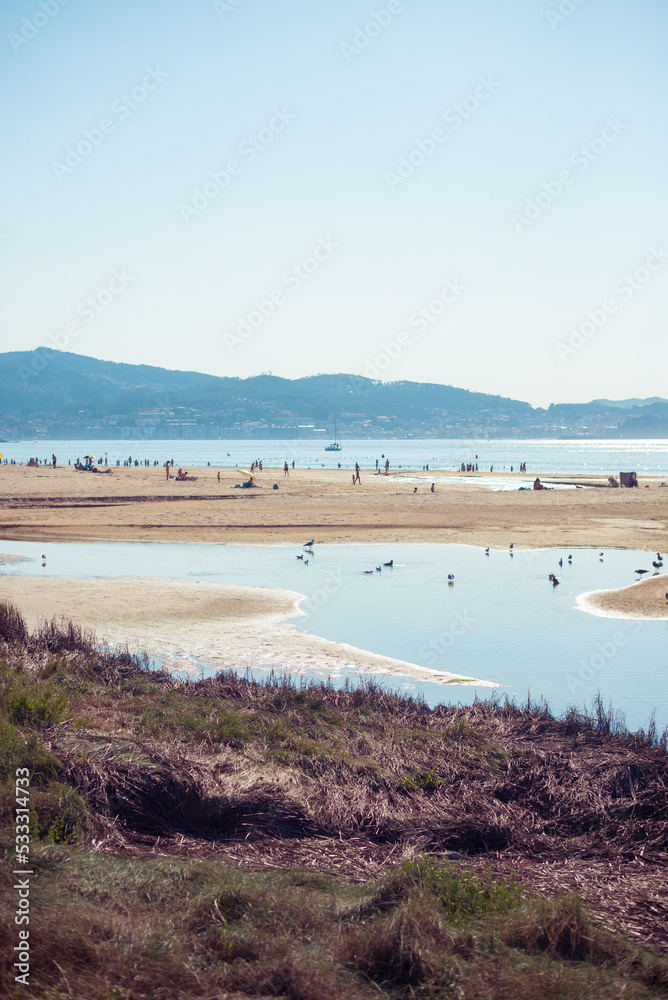 Virgin beach in europe with wetlands and birds