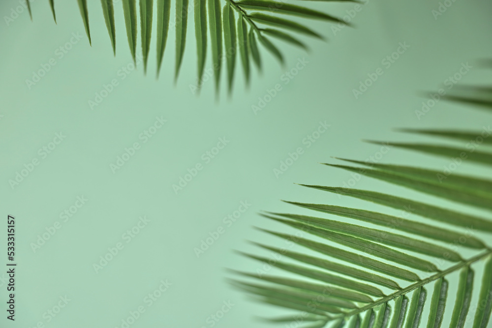 Palm Leaf Background Palm Leaf Background