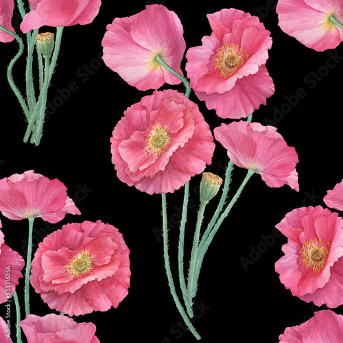 Seamless pattern with bouquets of pink Shirley poppies flowers (Papaver rhoeas). Floral botanical greeting card. Hand drawn watercolor painting illustration isolated on black background.