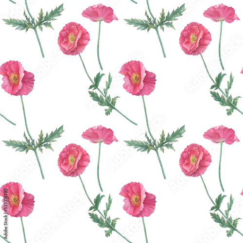 Seamless pattern with pink Shirley poppies flowers (Papaver rhoeas). Floral botanical greeting card. Hand drawn watercolor painting illustration isolated on white background. © arxichtu4ki