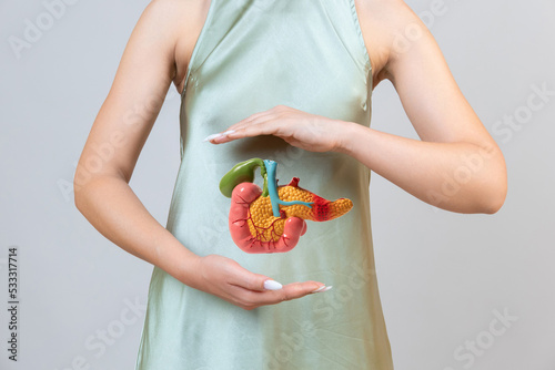 woman holding pancreas in the hands. Help and care concept photo