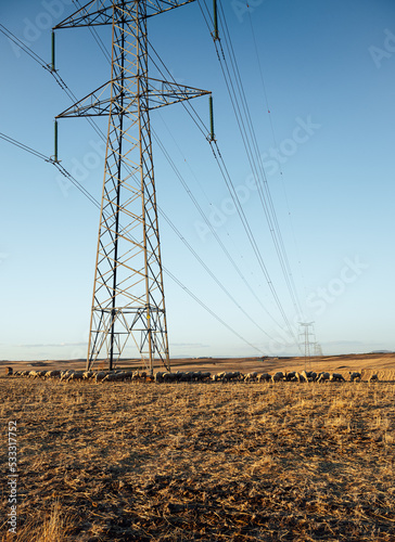Delay in energy production. High voltage structure with grazing sheep.