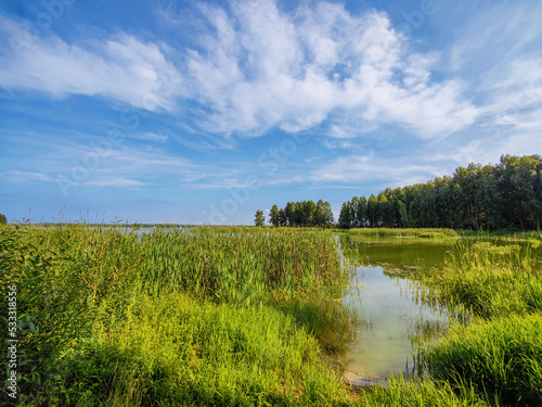 Okolice Zalewu Sulejowskiego