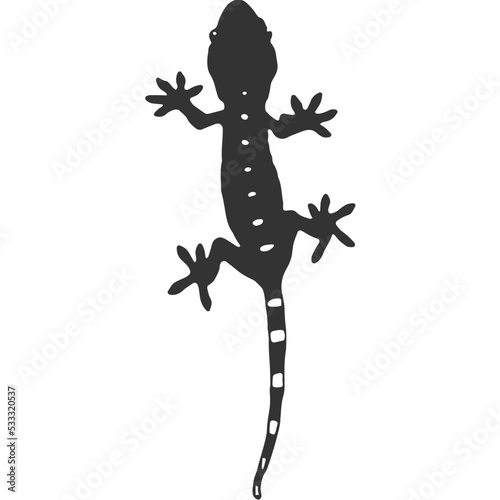 Gecko Lizard Vintage Illustration Vector