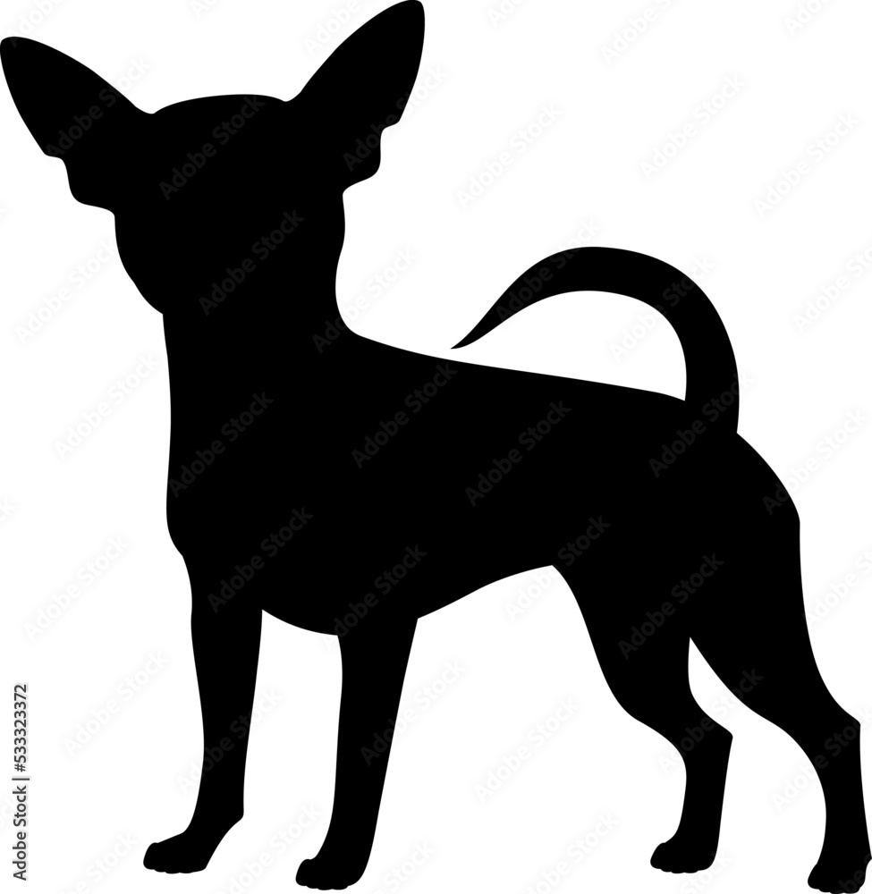 Isolated black silhouette of standing chihuahua on white background. Flat cartoon breed dog. - obrazy, fototapety, plakaty 