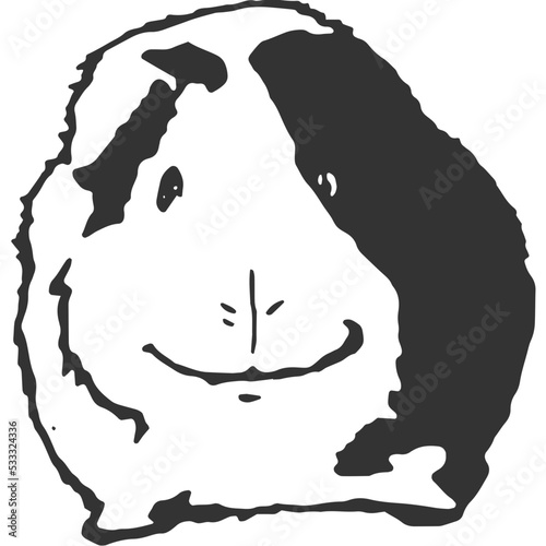 Guinea Pig Vintage Illustration Vector