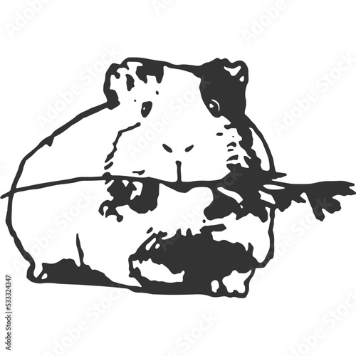 Guinea Pig Vintage Illustration Vector