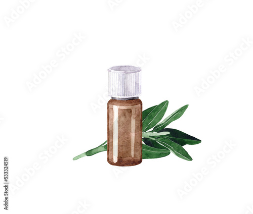 Watercolor illustration with essential oil of clary sage. Hand drawn  bottle of essential oil with branch and leaves on a transparent background. Herbal medicine and aroma therapy.