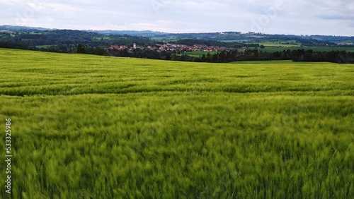 field and sky